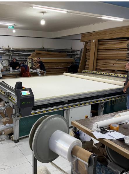 Profesyonel Web Sitesi